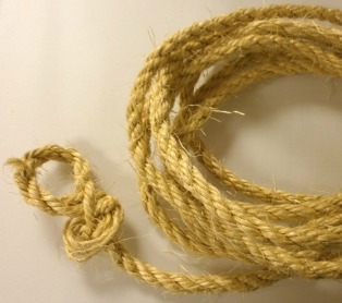 Biodegradable rope